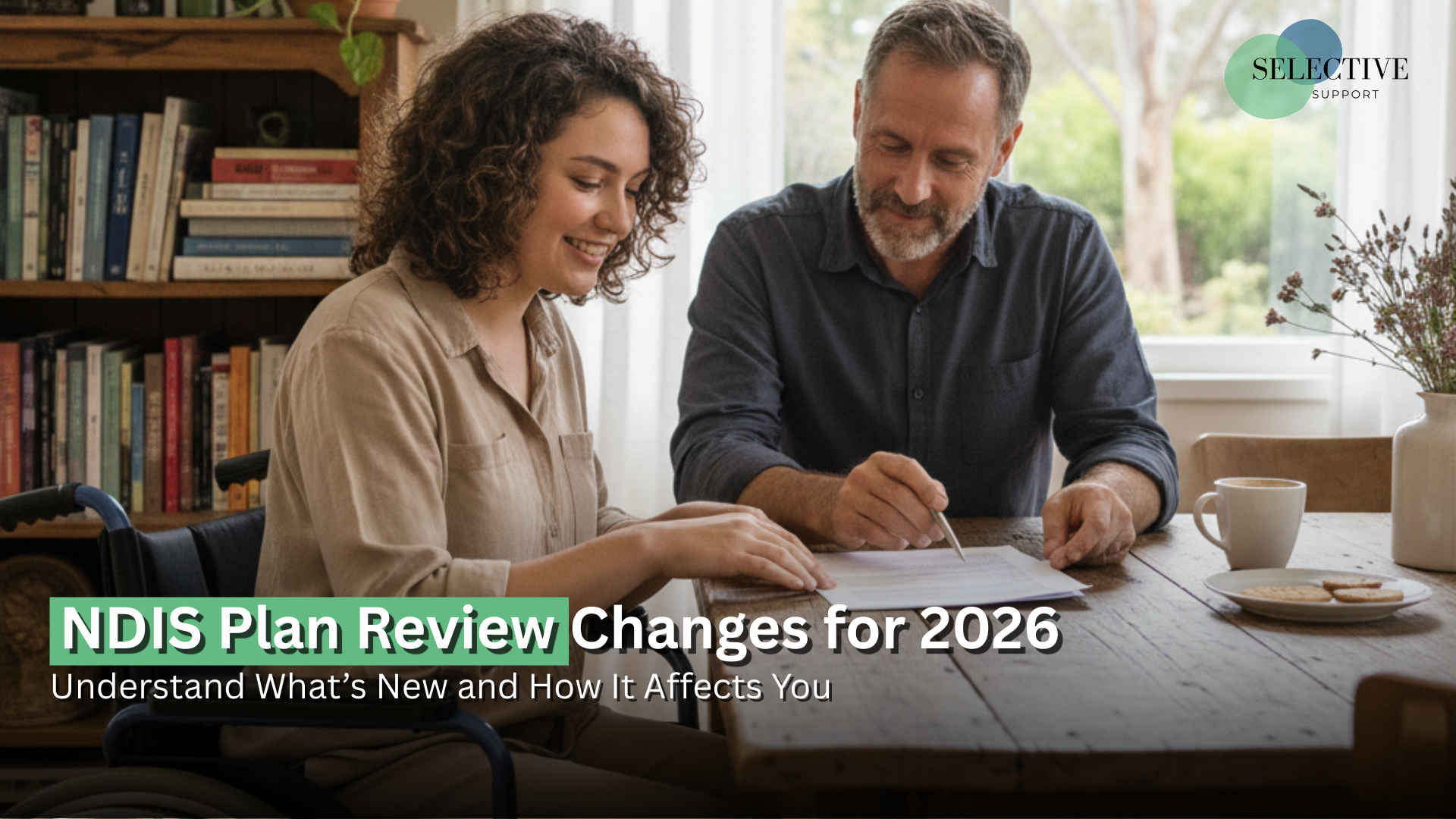 ndis plan review